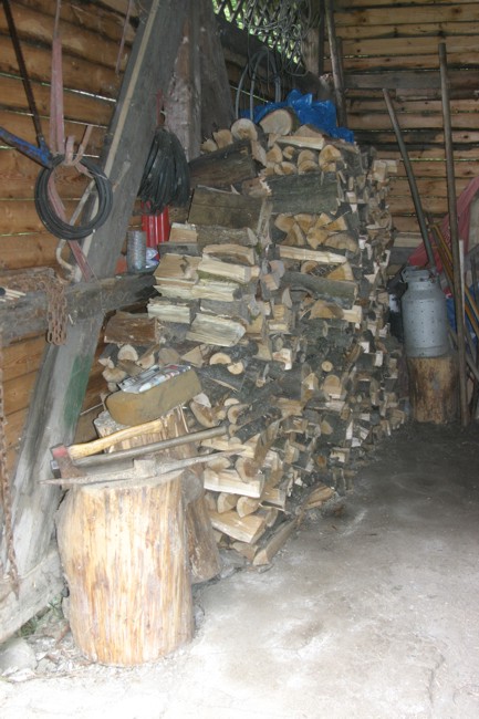 Posekané a sklizené dřevo v loděnici.